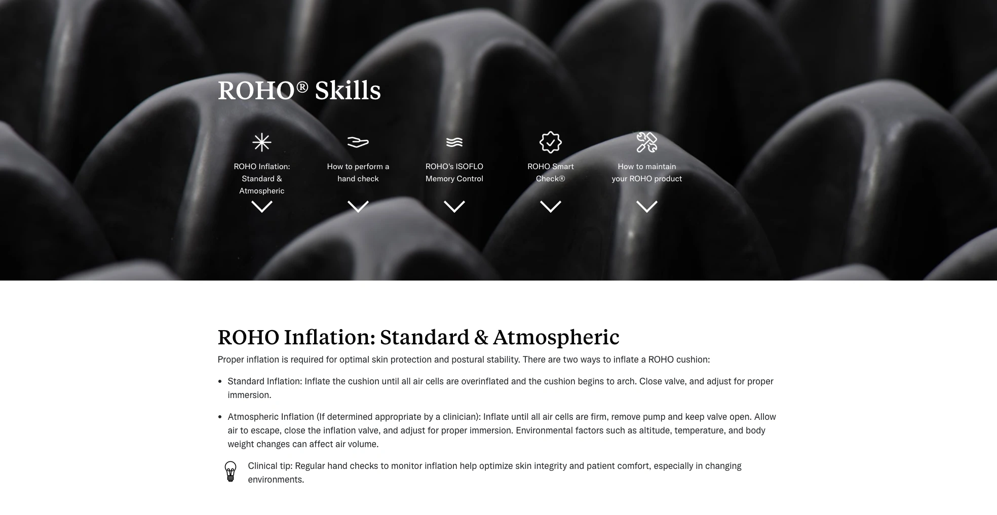 Screenshot of ROHO skills landing page